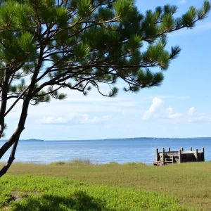 Efforts to restore coastal eroded marshlands at Parris Island