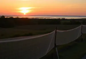Scenic view of Beaufort County highlighting mosquito control efforts.