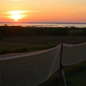 Mosquito control truck spraying in Beaufort County