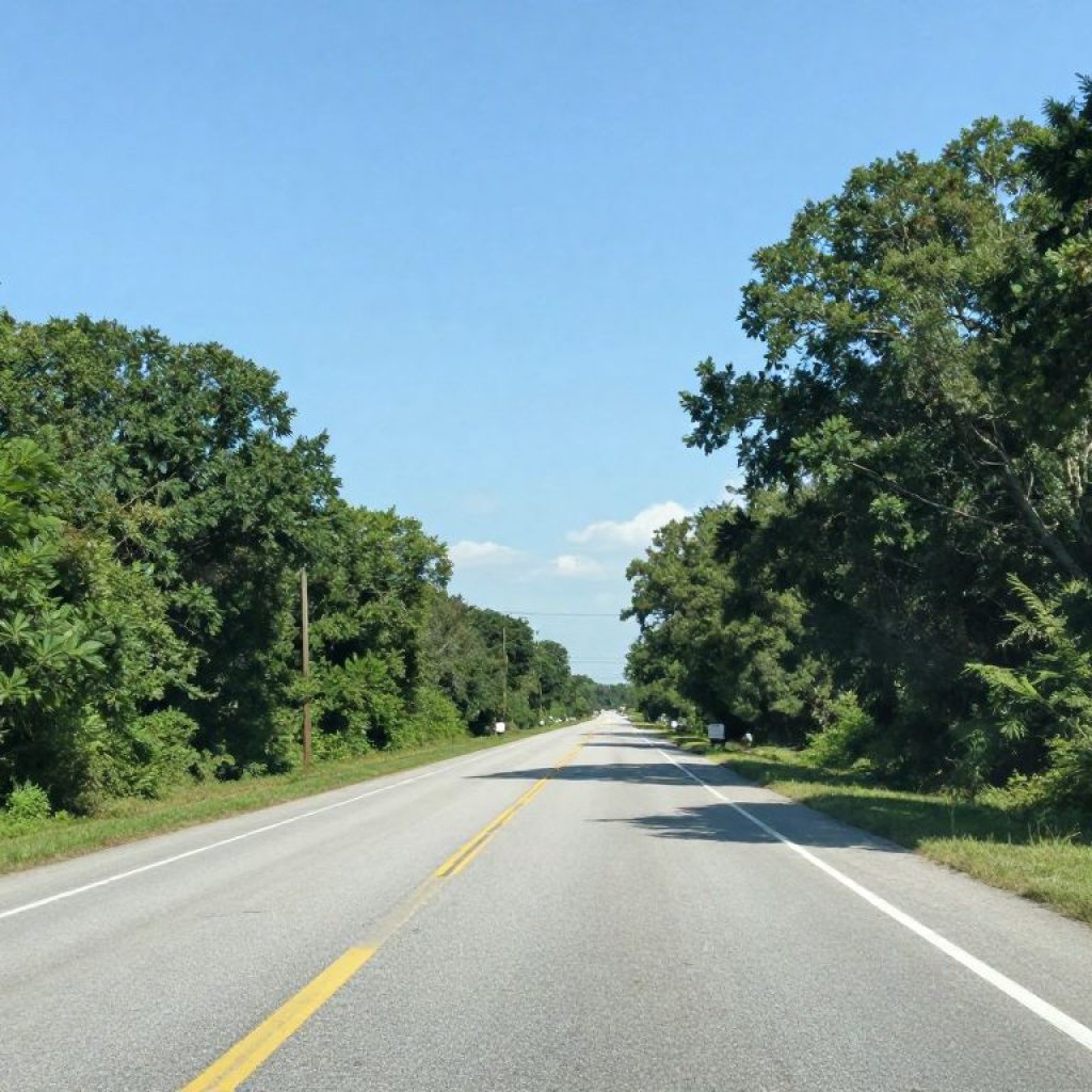 View of Bluffton Parkway showing the scenery where a recent accident occurred.