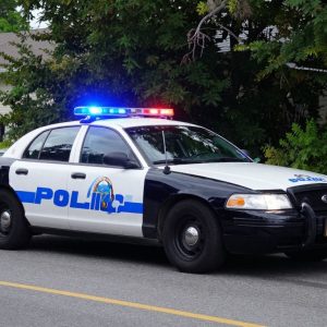 Police car near a wooded area after a high-speed chase and crash in Bluffton.