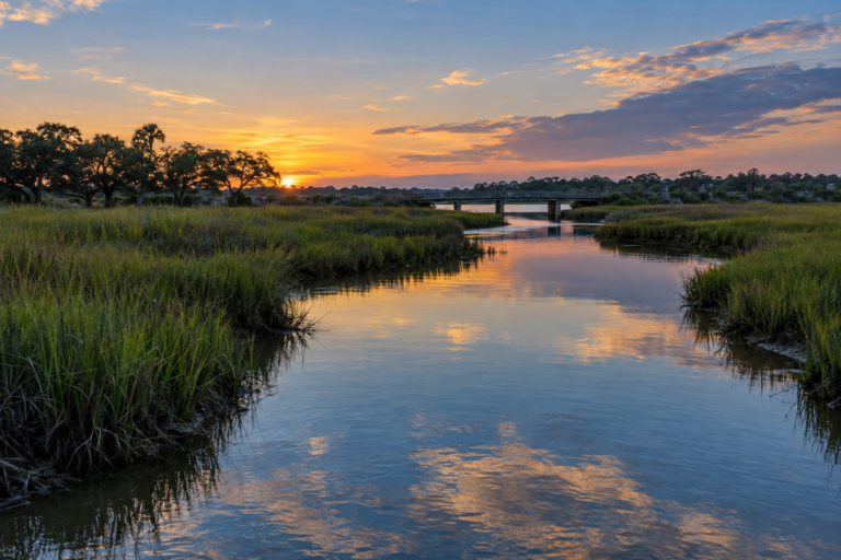 Coroner Identifies Man Found in Chowan Creek