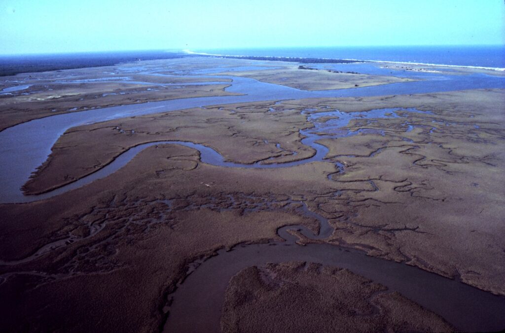 Tidal creek through a coastal marsh